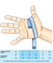 Starter-Kit CarpaStretch Größe  M